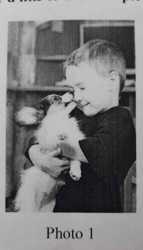 Мальчик держит собаку. (это по впр сделайте сочинение на английском про это. . смотрите на фото