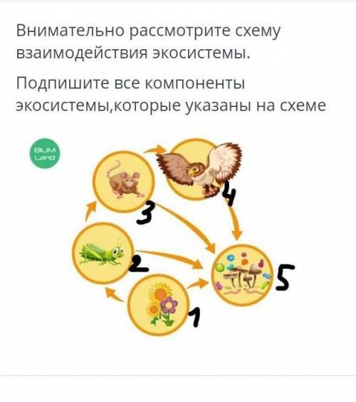 Внимательно рассмотрите схему взаимодействия экосистемы.Подпишите все компонентыэкосистемы, которые 