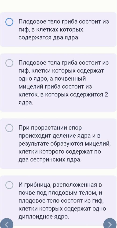 ВЫБЕРИТЕ ВЕРНОЕ УТВЕРЖДЕНИЕ ​