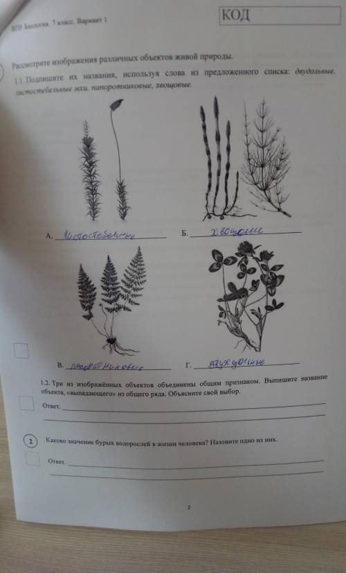 Впр по биологии 7 класс​