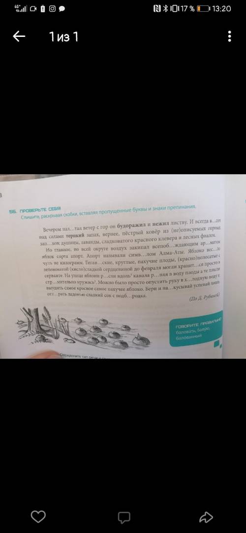 Спишите раскрывая скобки, вставляя пропущенные буквы и знаки препинания