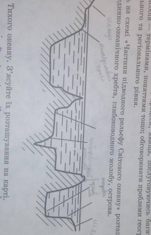. Підпишіть на схемі частини підводного рельєфу світового океану розташовання уголовини, серединно-о