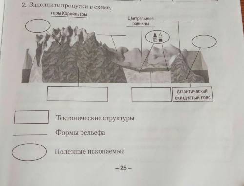 Заполните пропуски в схеме​