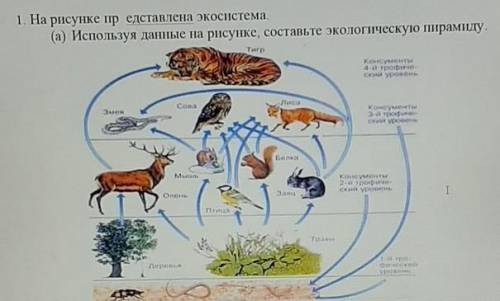 У МЕНЯ СОР ,ПОМГИТЕ ПОЖАУЙСТА 1. На рисунке представлена экосистема. (а) Используя данные на рисунке