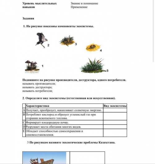 Называет компонентын экосистемы Определяет особенности естественных искусственных экосистем Определя