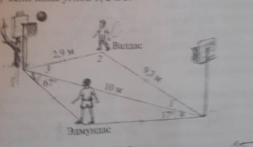 Пользуясь рисунком Установите Какого расстояние от эдмундаса до каждой из баскетбольных корзины в ве