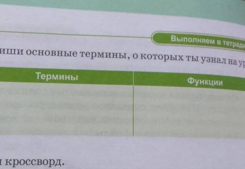 1. Запиши основные термины, о которых ты узнал на уроке. Термины Функции​