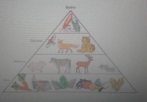 На рисунке представлена экосистема, 1. Используя данные на рисунке, составьте экологическую пирамиду