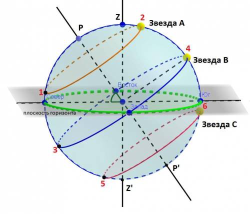 На рисунке показано положение небесной сферы для наблюдателя, находящегося в северном полушарии. В т