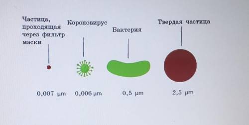 Внимательно рассмотри нижеприведенный рисунок и выбери правильные варианты ответов, указывающие неэф