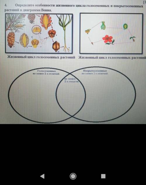 Определите жизненный цикл голосеменных и покрытосеменных растений в диаграмме венна​