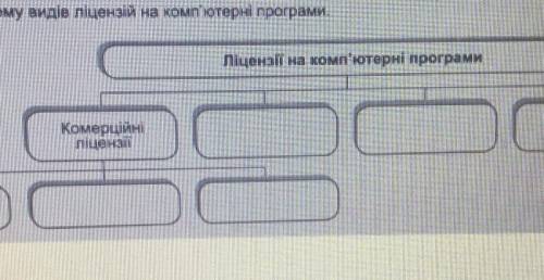 Піцензії на комп'ютерні програмаКомерційніпіцензіі​