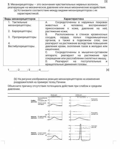 Задания Центральная нервная система состоит из головного и спинного мозга. На рисунке (см. выше) пок