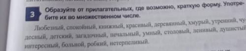 Образуйте от прилагательных где возможно краткую форму употребите их во множественном числе ​