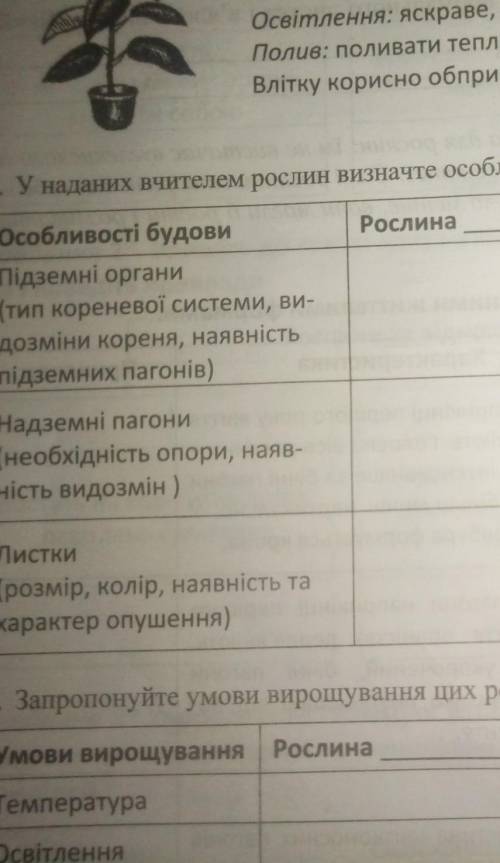 У наданих вчителям рослин визначте особливості їхньої будови і напишіть дані на ттаблиці.