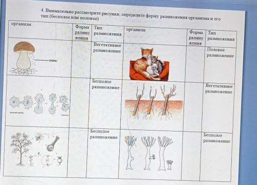 Биология, 7 класс, 4 четверть. внимательно рассмотрите рисунки, определите форму размножения организ