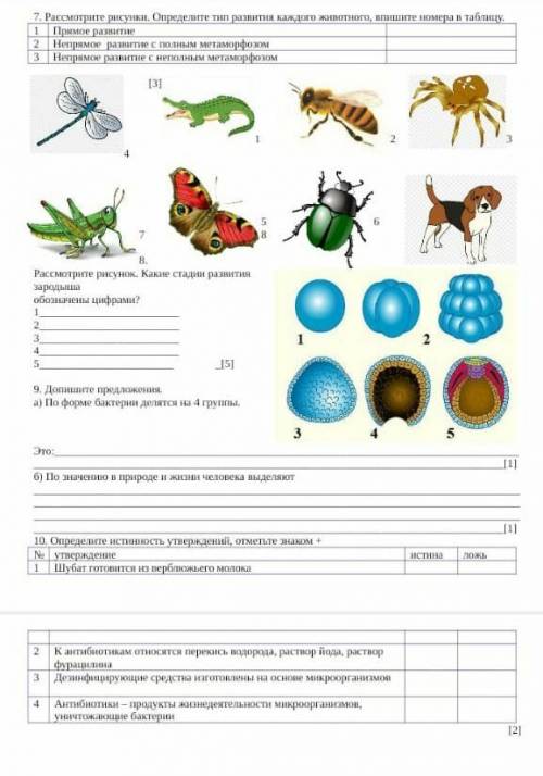 хоть с чем-нибудь соч по биологии 7 класс​