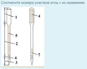 Соотнесите номера участков иглы с их названием ушко стержень короткий желобок плоская сторона колбы