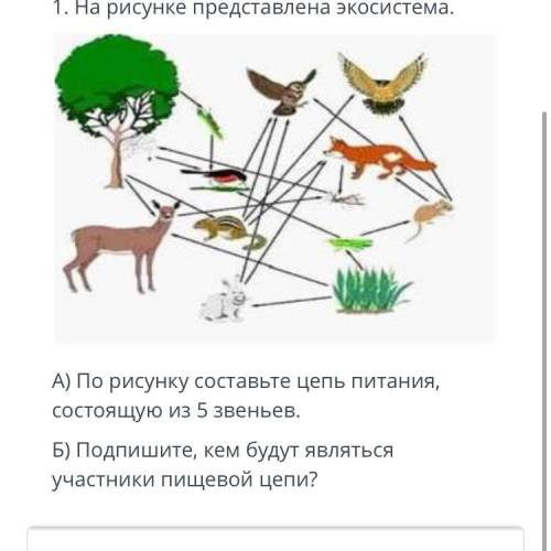 На рисунке представлена экосистема. А) По рисунку составьте цепь питания, состоящую из 5 звеньев. Б)