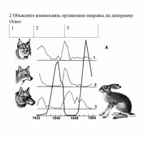 Сор по естествознании Объясните взаимосвязь организмов опираясь на диаграмму нужно!ср​