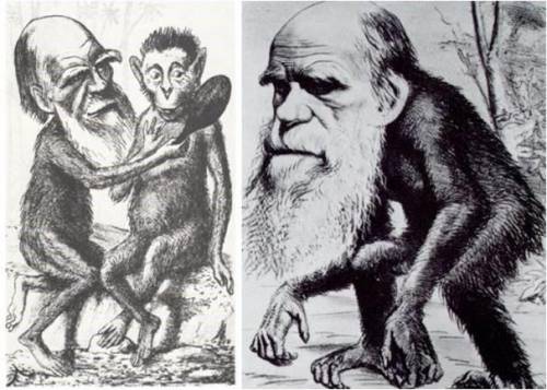 Рассмотрите карикатуру и ответьте на вопросы: Какое открытие Ч. Дарвина отображает данная карикатура
