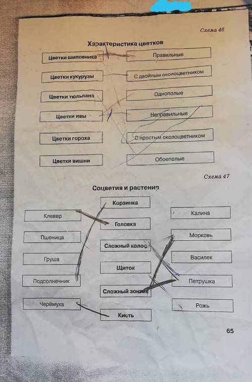 моей подруге с биологией