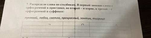 Распредели слова по столбикам