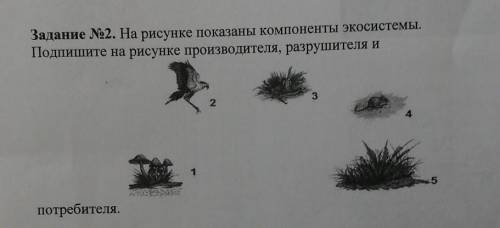 Производители Задание 2. На рисунке показаны компоненты экосистемыПодпишите на рисунке производителя