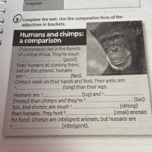 3 Complete the text. Use the comparative form of the adjectives in brackets. Humans and chimps: a co