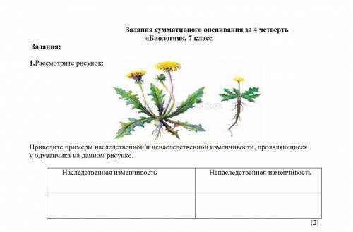 1.Рассмотрите рисунок: Приведите примеры наследственной и ненаследственной изменчивости, проявляющие