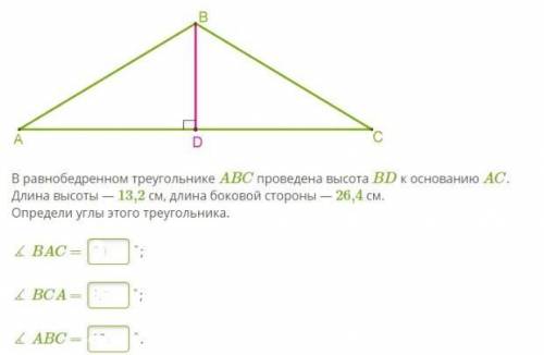 В равнобедренном треугольнике ABC проведена высота BD к основанию AC. Длина высоты — 13,2 см, длина