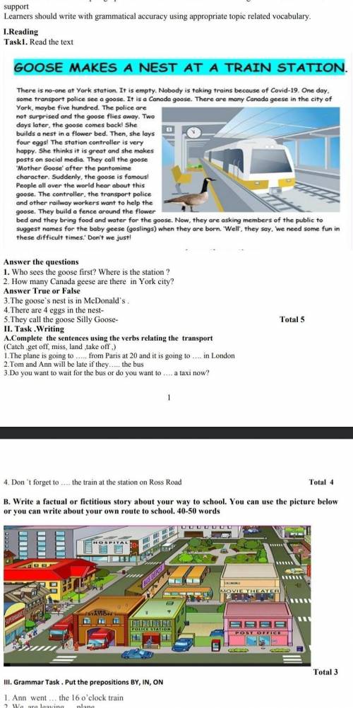 I.Reading Task1. Read the textAnswer the questions 1. Who sees the goose first? Where is the station
