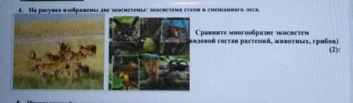 4. На рисунке изображены две экосистемы: экосистема степи и смешанного леса. Сравните многообразие э