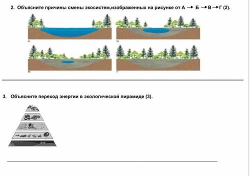 2. Объясните причины смены экосистем, изображенных на рисунке от А Б +в —г (2). 3. Объясните переход