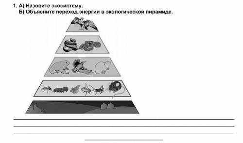   1. А) Назовите экосистему.                                                                        