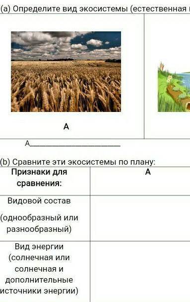 2. (а) Определите вид экосистемы (естественная или искусственная):AB(b) Сравните эти экосистемы по п