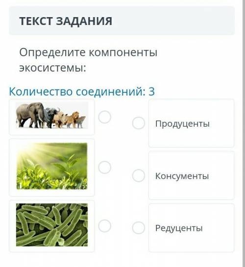 Определите компоненты экосистемы: Количество соединений: 3ПродуцентыКонсументыРедуценты​