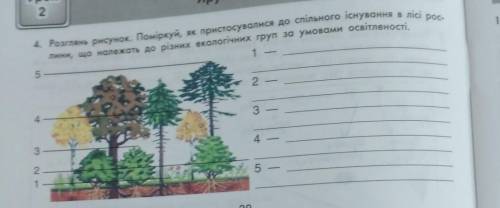 4. Розглянь рисунок. Поміркуй, як пристосувалися до спільного існування лини, що належать до різних