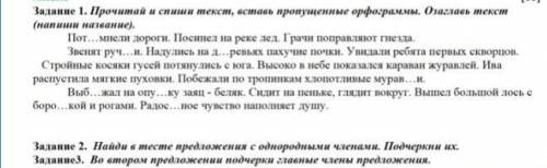 СОЧ по Русскому языку 4 класс 4 четверть правильный ответ отмечу как лучший !+1,2​