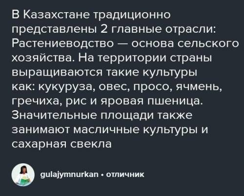 В) Объясните важность этих отраслей для развития экономики вашего региона.(в Казахстане)​