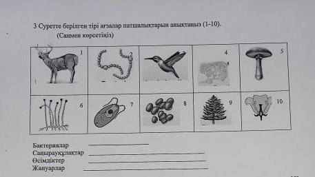 Суретте берілген тiрi агу пар патшаныктори та (1-10)​