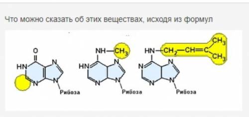 Подскажите названия этих веществ