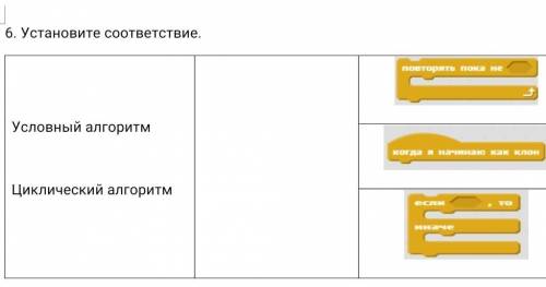 6. Установите соответствие. Условный алгоритмЦиклический алгоритм КАРАКУЛЯМ БАН​