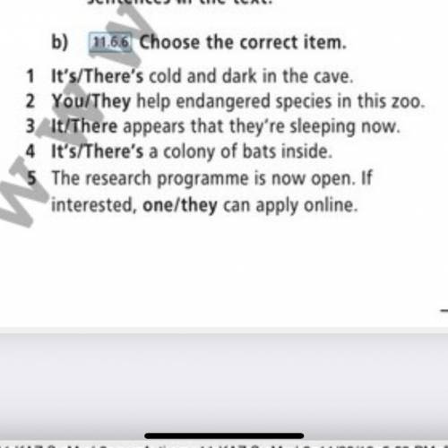 Choose the correct item. 1) It’s/ There’s cold and dark in the cave. 2) You/They help endangered sp