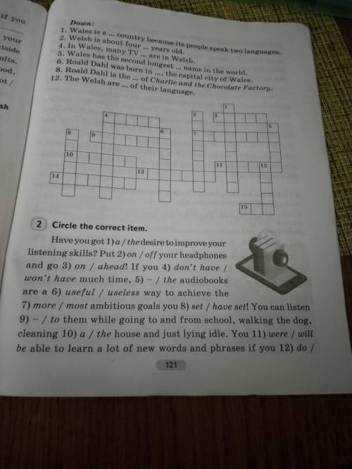 Circle the correct item Have you got a/the disire to improve your listening skills?