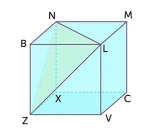 В кубе zxcvbnml ребро равно 3/8 найдите угол zln