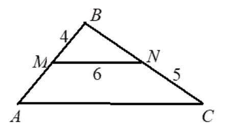 MN – средняя линия треугольника АВС (см. рисунок). Найдите периметр треугольника АВС, если МВ = 4 ,