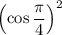 \left(\cos \dfrac{\pi }{4} \right)^{2}