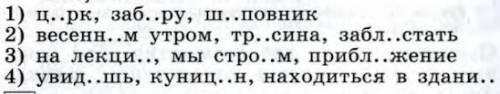 В каком ряду во всех словах на месте пропуска пишется буква И? *