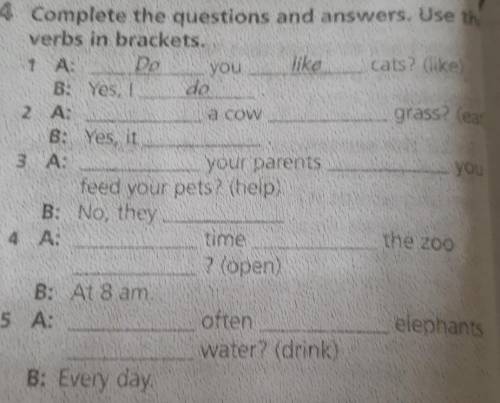 you 4 Complete the questions and answers. Use the verbs in brackets. 1 A: like cats? (like) B: Yes,